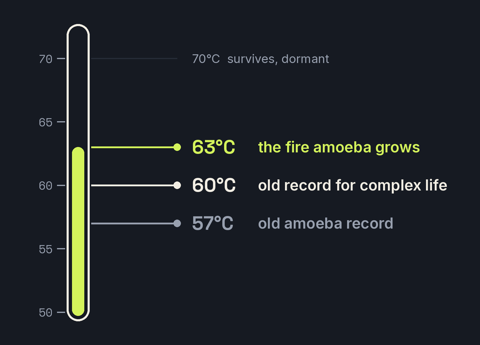 A thermometer-style scale from 50 to 70°C marking the old amoeba record at 57°C, the old complex-life record at 60°C, and the fire amoeba growing at 63°C.