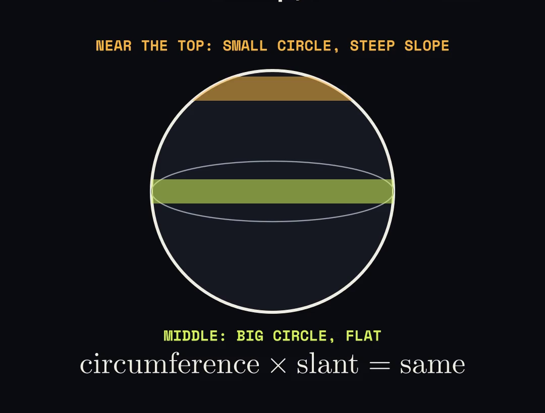 A narrow, steep band near the top and a wide, flat band at the middle; circumference times slant is the same.