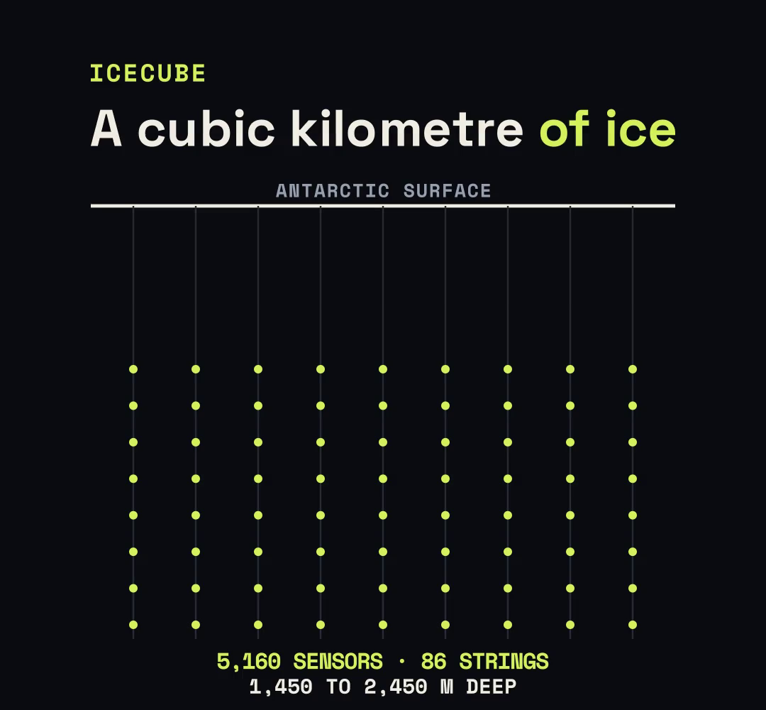 Eighty-six strings of light sensors hang in the ice below the Antarctic surface, between 1,450 and 2,450 metres deep.